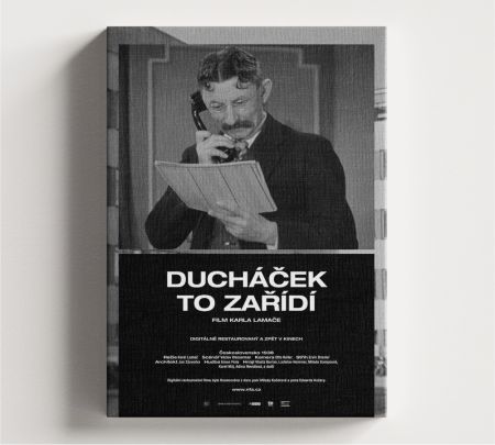 Ducháček Will Fix It Movie Wall Art Canvas Mockup