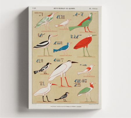 Ancient Egyptian Bird Wall Art Canvas Mockup