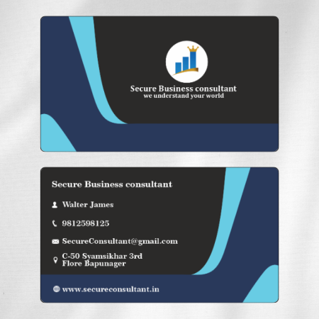 Business Consultant Visiting Card 04 Main