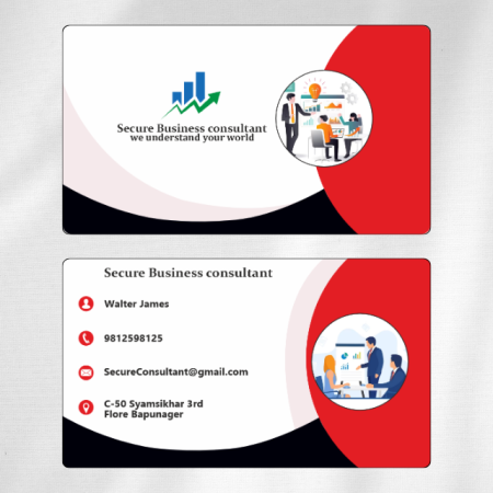 Business Consultant Visiting Card 12 Main