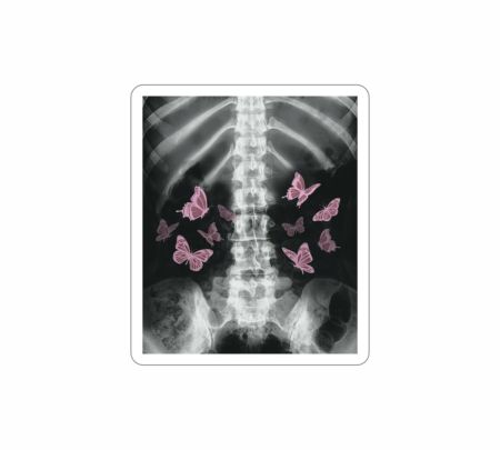 Butterflies In the Stomach Sticker Mockup