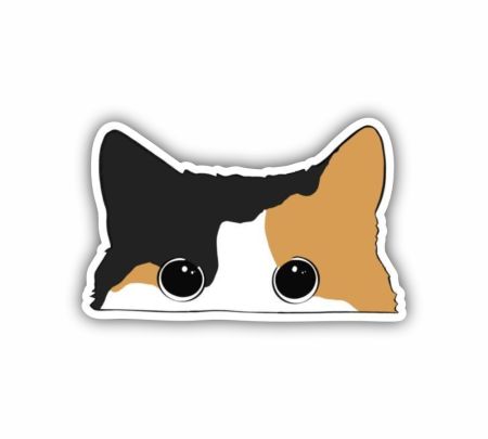 Calico Cat Peeking Sticker Mockup