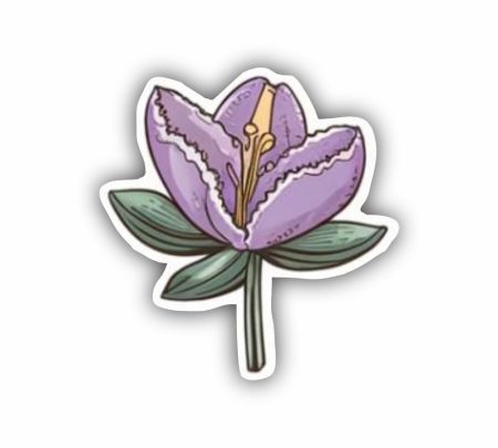 Crocus Flower Sticker Mockup