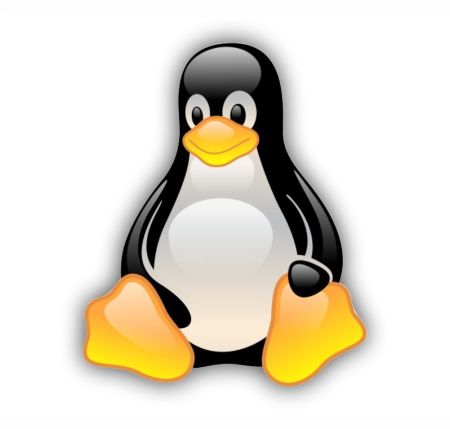 Sitting Peguin Sticker Mockup