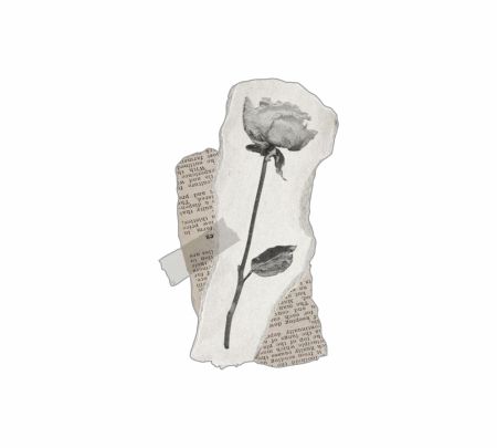 Vintage Torn Rose Sticker Mockup