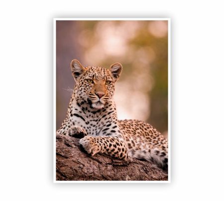 Leopard Wildlife Art Poster Mockup