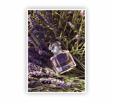 Mon Guerlain Eau De Toilette Perfume Poster Mockup