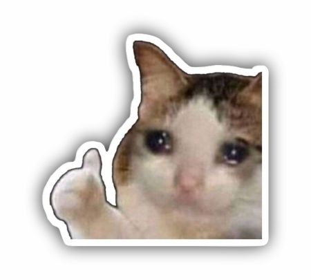Ok Cat Meme Sticker Mockup