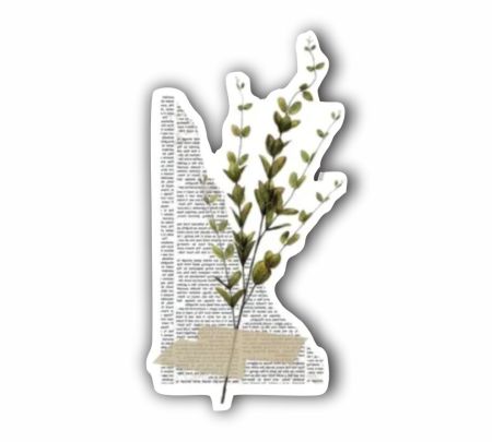 Paper Leaf Sticker Mockup