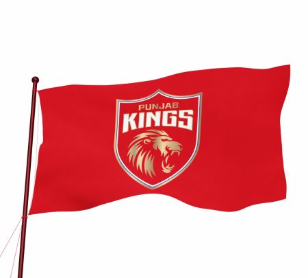 Punjab Kings Flag