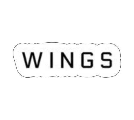 Wings BTS Sticker Mockup